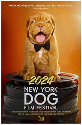 New York Dog Film Festival Poster